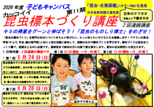 「昆虫標本づくり講座2026」5-6月変更