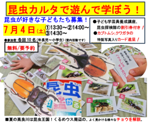 昆虫カルタで遊んで学ぼう！7月4日　