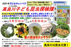 「高良川子ども昆虫探検隊」8,9月チラシ(8月募集)